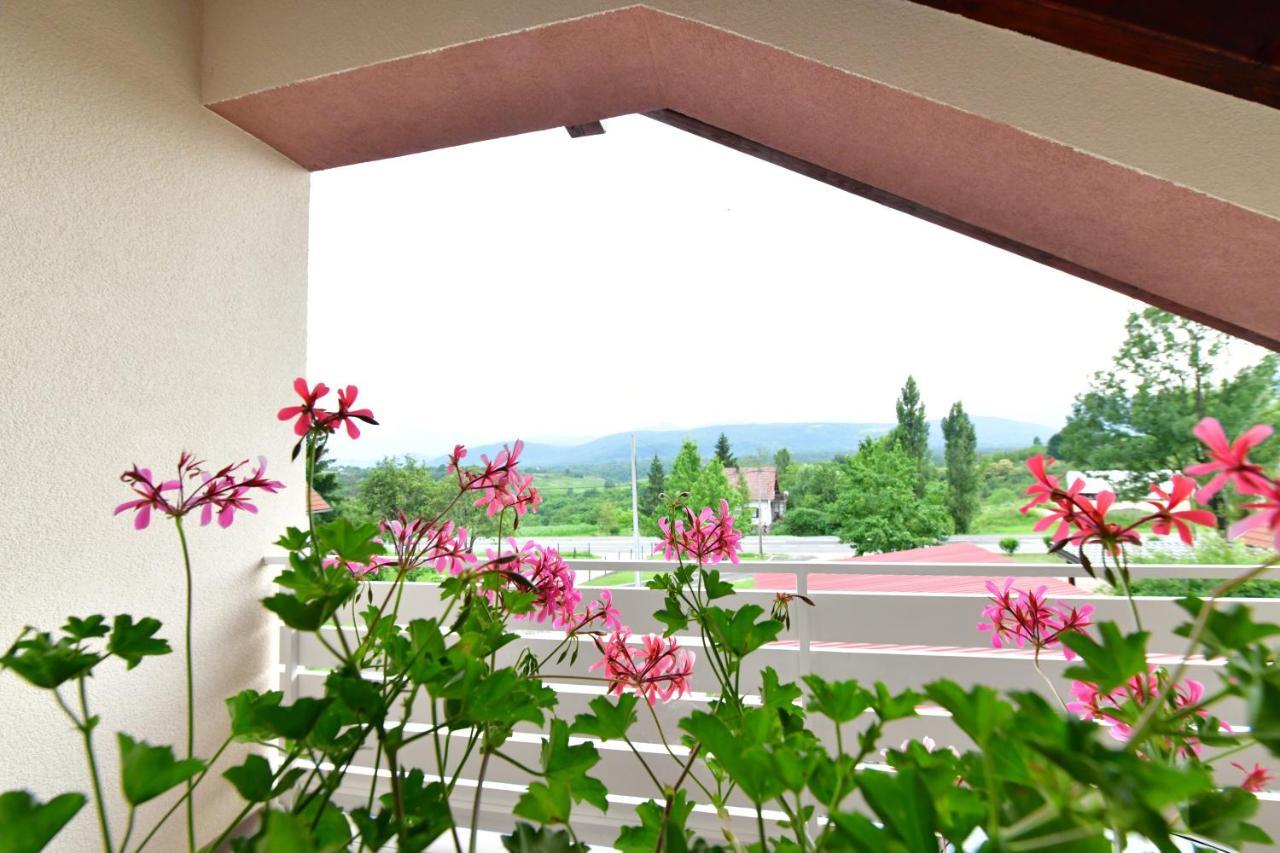 Hotel House Bela vido à Drežnik Grad Extérieur photo
